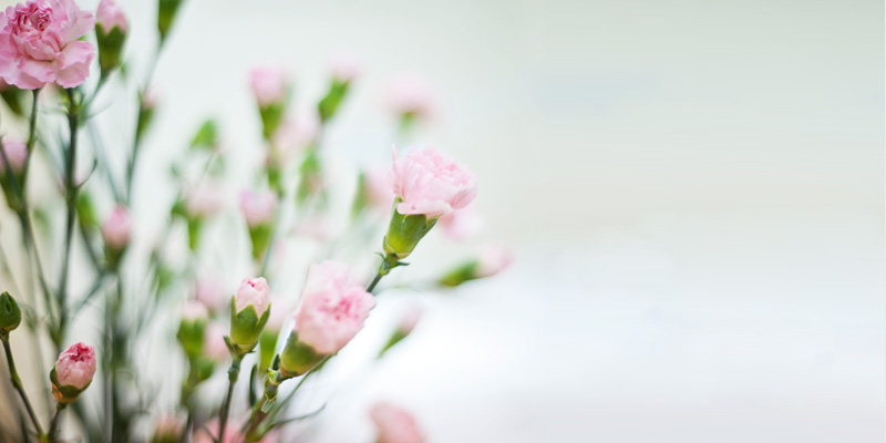 Monroe Olsztyn Kontakt